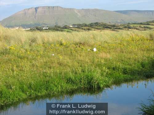Mullaghmore
